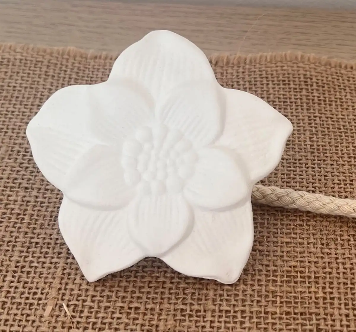 Fleur Capillaire de Rechange – Diffuseur d’Ambiance